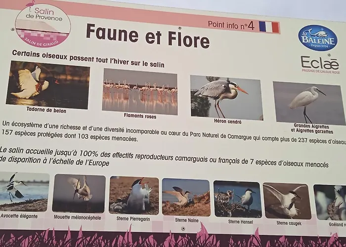 Les Oliviers De Camargue