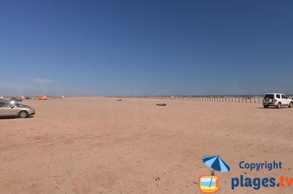 Les Oliviers De Camargue Salin-de-Giraud