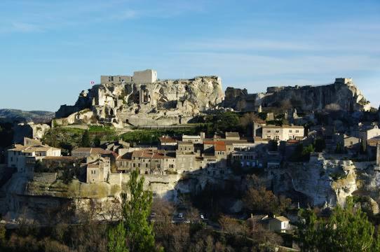 Les Oliviers De Camargue