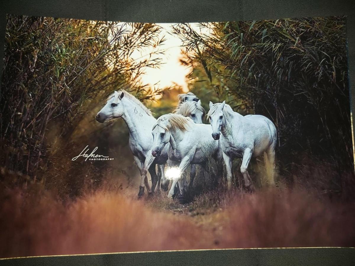 Les Oliviers De Camargue Salin-de-Giraud
