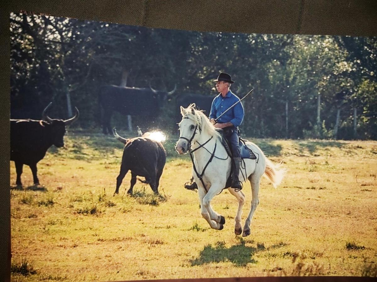 Les Oliviers De Camargue * Salin-de-Giraud