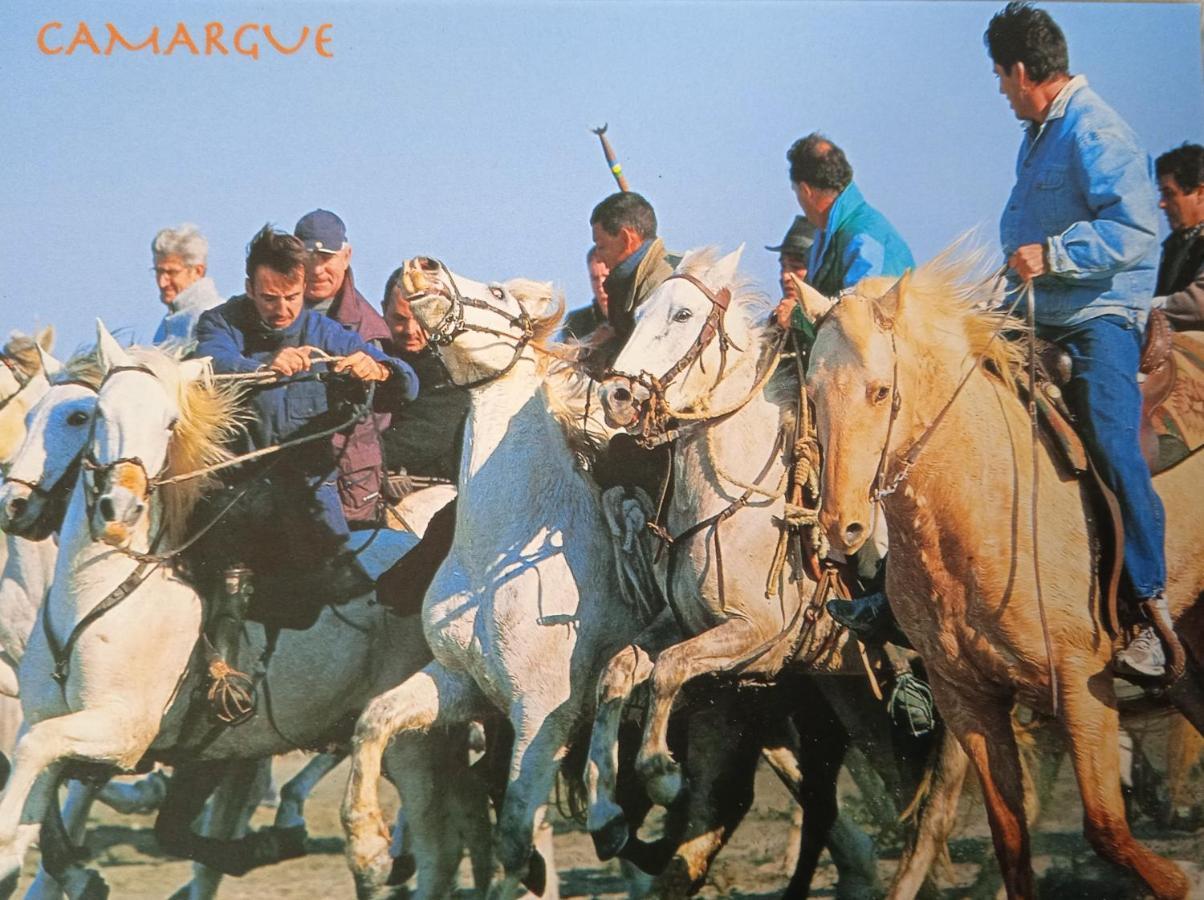 Les Oliviers De Camargue Chalet Salin-de-Giraud