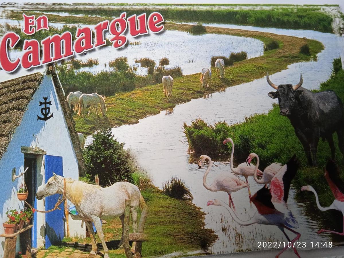 Les Oliviers De Camargue Chalet *