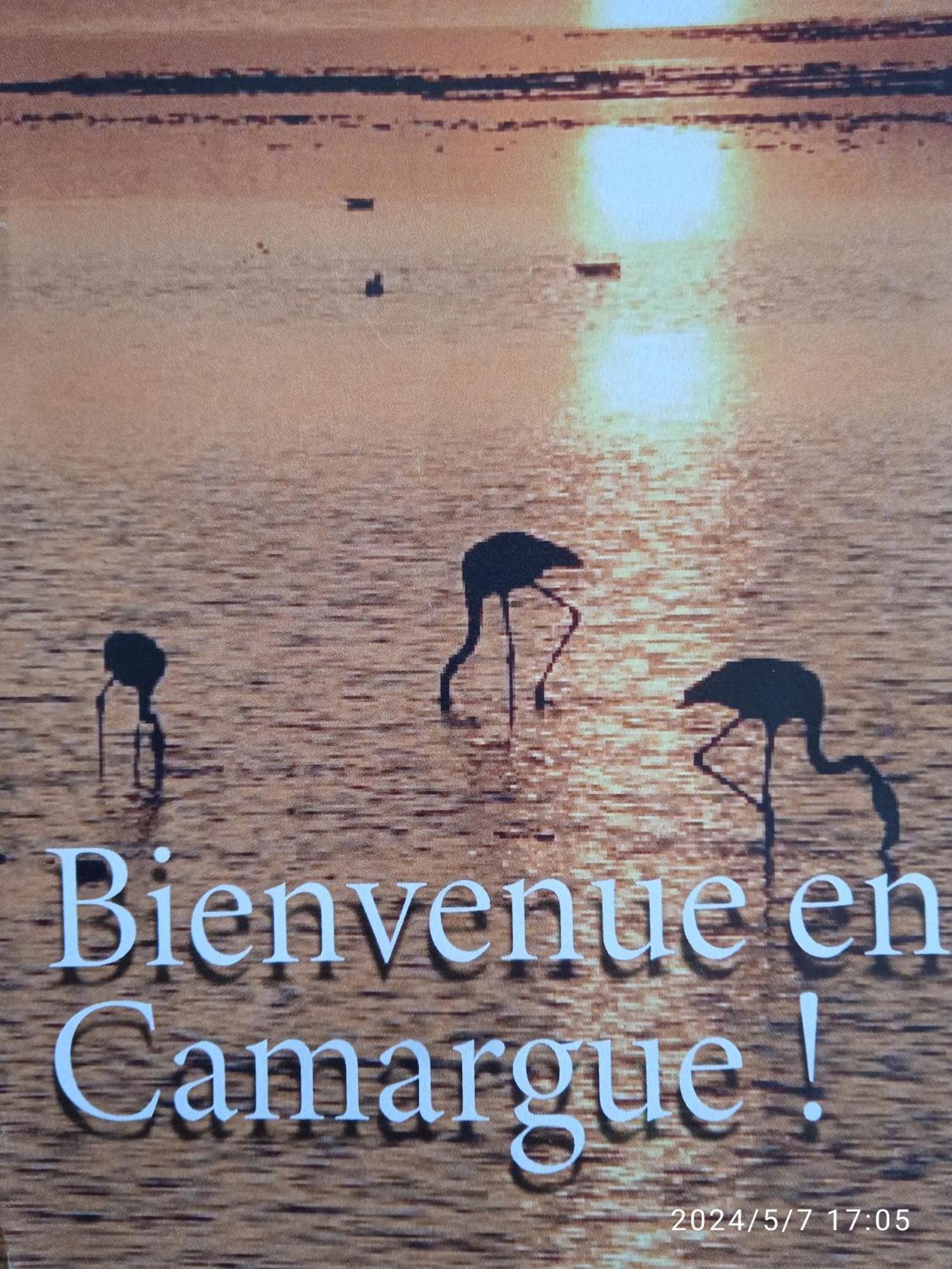 Les Oliviers De Camargue Chalet